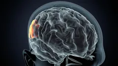 Potřebujete vědět, jaké následky má častý nedostatek spánku pro váš mozek.